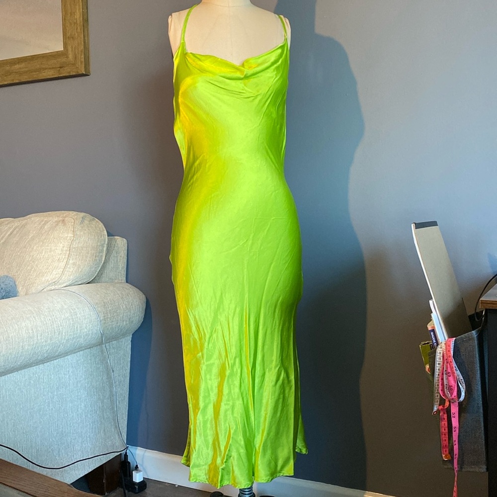Rat and Boa Dress